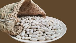 Erzincan’da Geliştirilen Fasulyeler Genetik Miras Olarak Korunacak